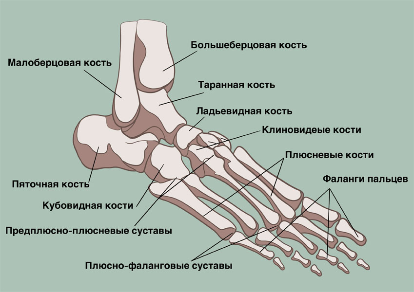 Основные причины боли в стопе
